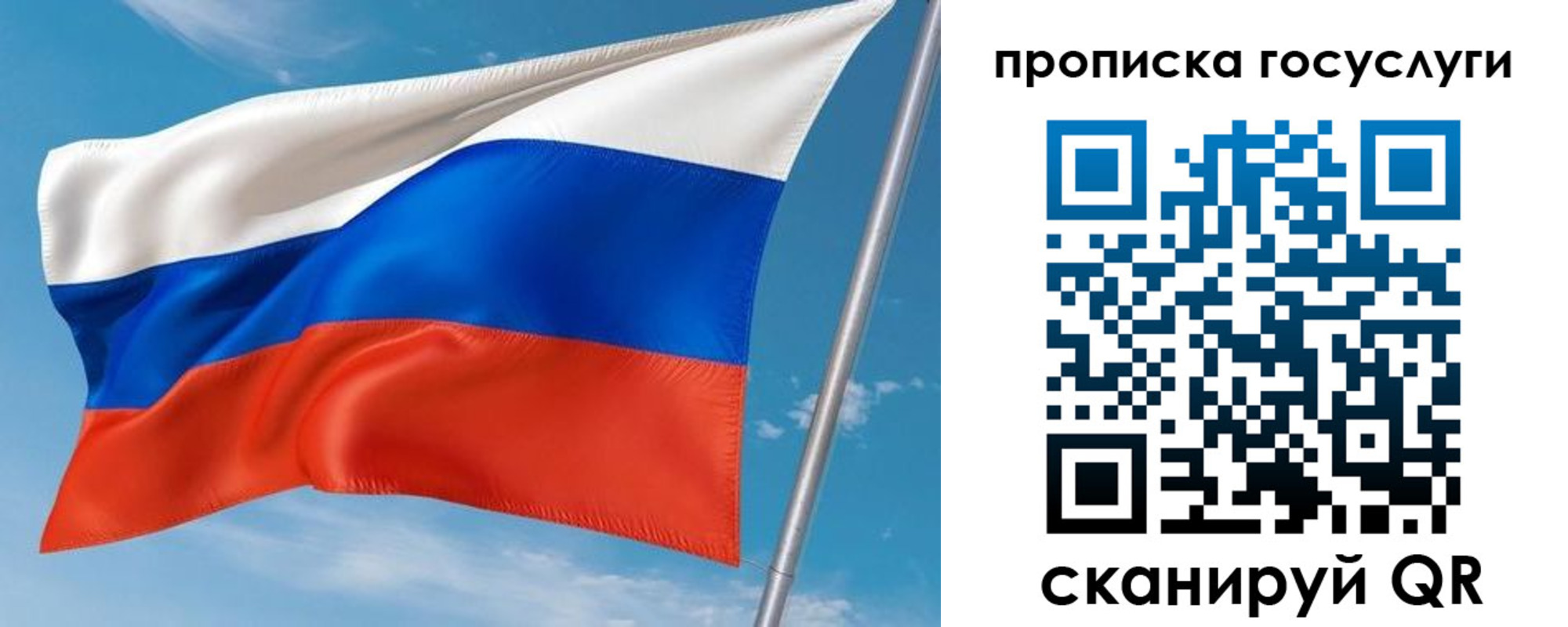 прописка в Ясном